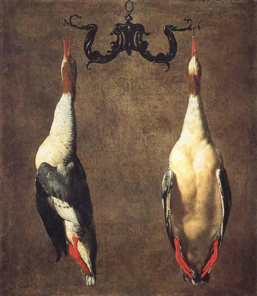 Dandini, Cesare Two Hanging Mallards France oil painting art